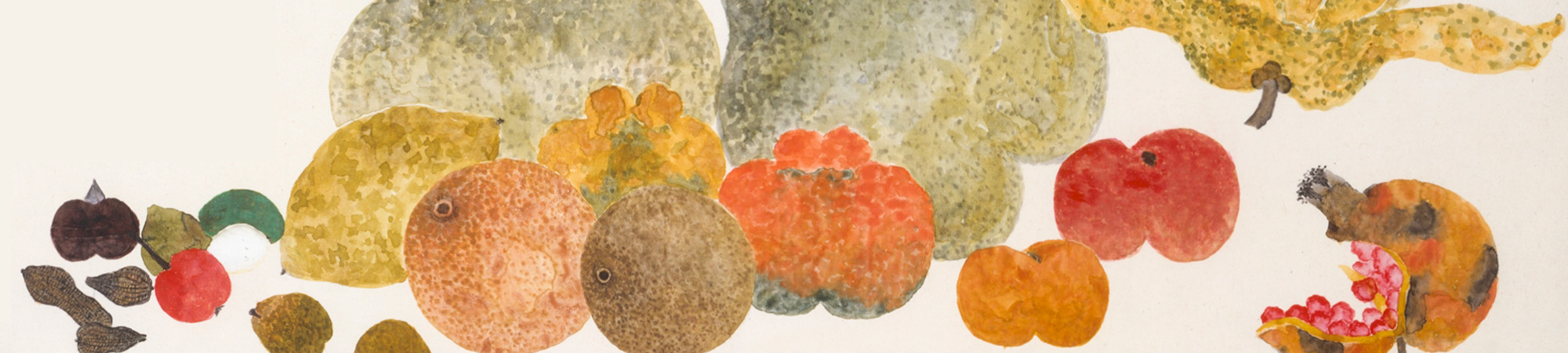Chinese Medicine Nutrition Diploma from the Northern College of Acupuncture