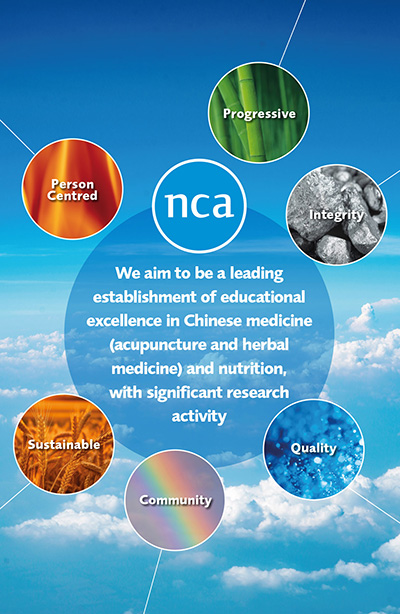 NCA values poster